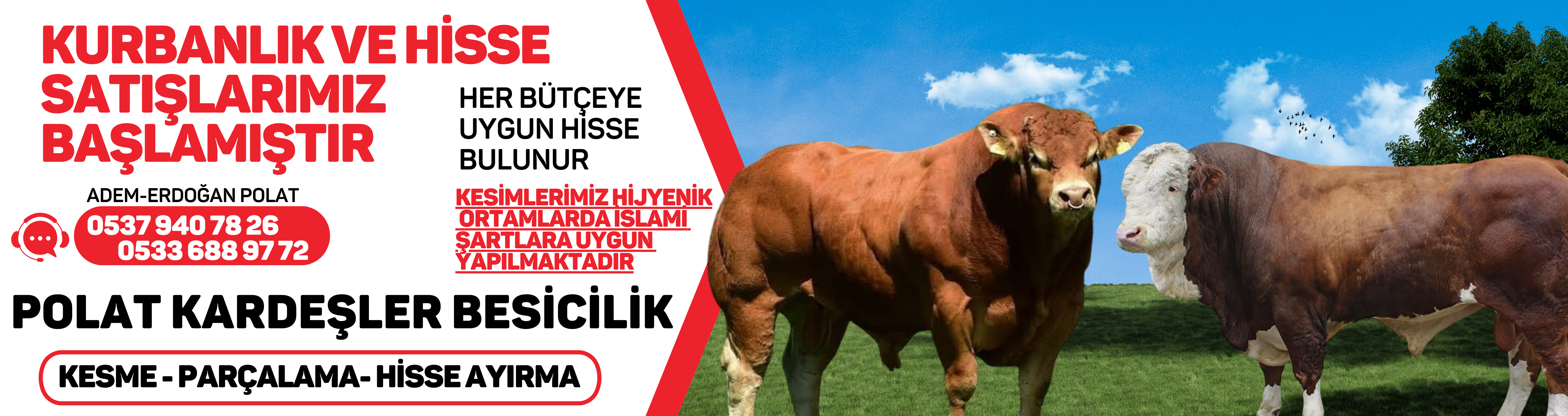 POLAT KARDEŞLER BESİCİLİK