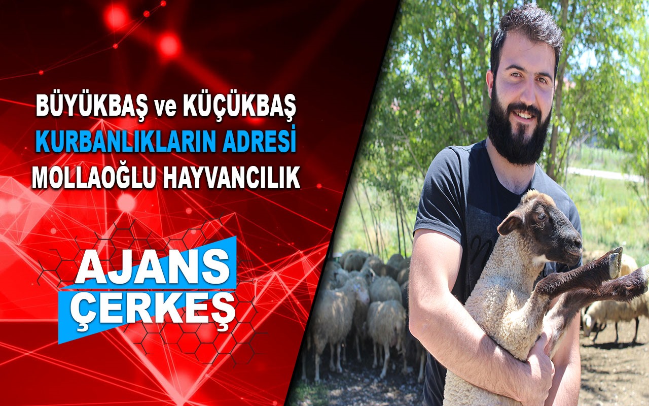 "Kurbanlıklarınız Yine Bizden"