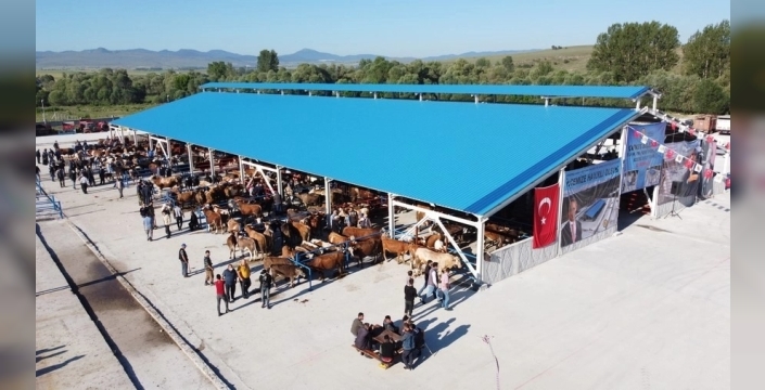 HAYVAN PAZARI ŞAP HASTALIĞI NEDENİYLE KAPATILDI