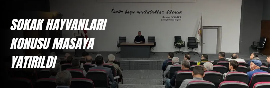 SAHİPSİZ SOKAK HAYVANLARI KONUSU MASAYA YATIRILDI